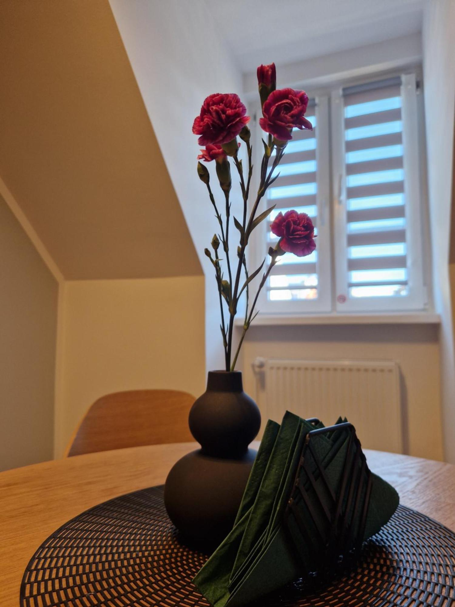 Apartament Rabianska 14 Stary Toruń Extérieur photo